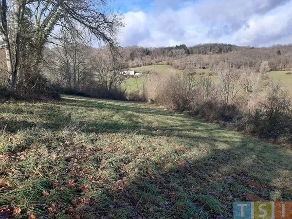 Terrain Vente Lalouret-Laffiteau  6781m² 42000€