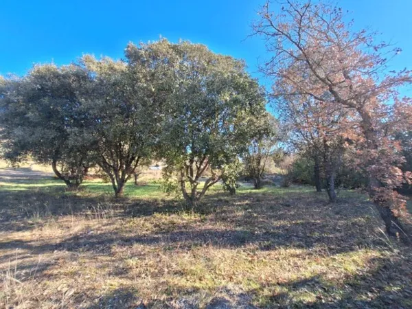 Terrain 1000 m²