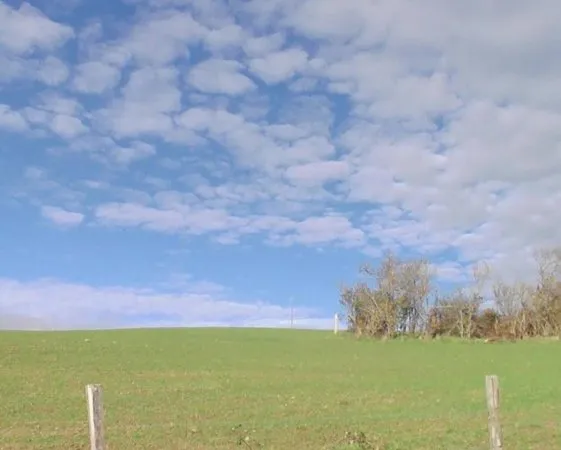 Grand terrain constructible à 5 min de St Bonnet le Château !