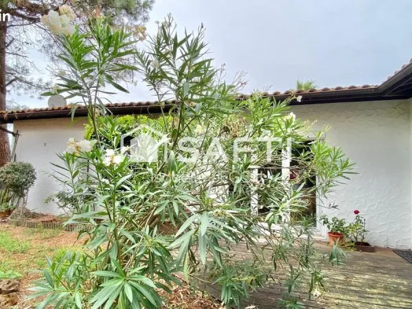 Propriété 4 pièces 100 m²