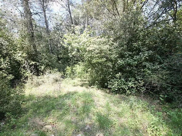 En EXCLUSIVITE Terrain de loisir 5551m² boisé non constructible à Milhaud. Pas d'eau ni électricité.