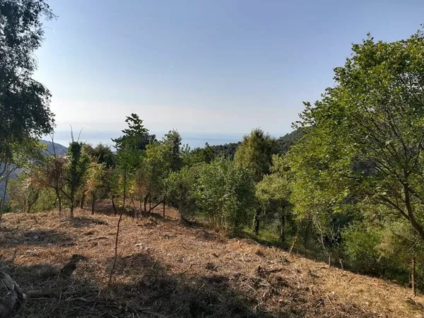 Spacieux terrain agricole avec vue mer