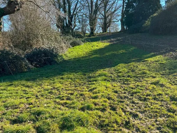 Terrain proche Morlaas