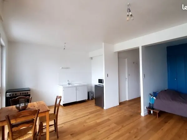 Appartement lumineux de 33m² à brioude