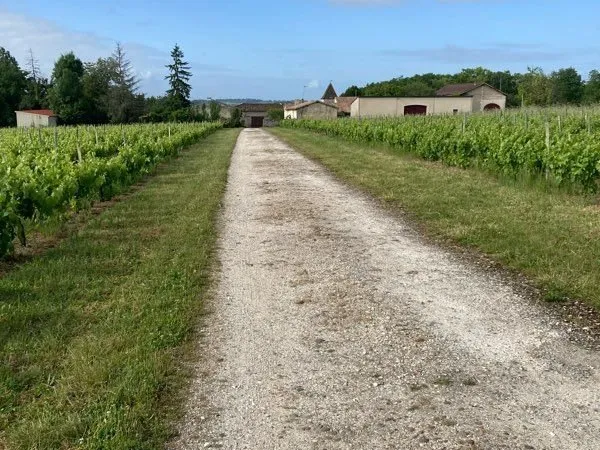 AV Propriété Viticole