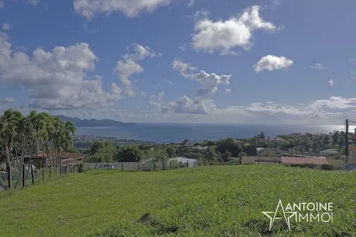 Terrain 1556 m²