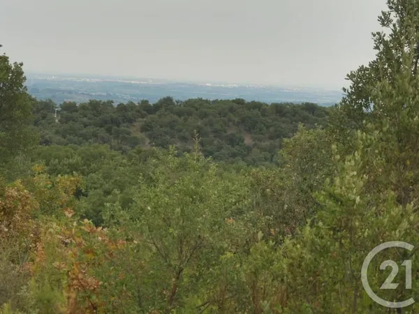 Terrain 4698 m²