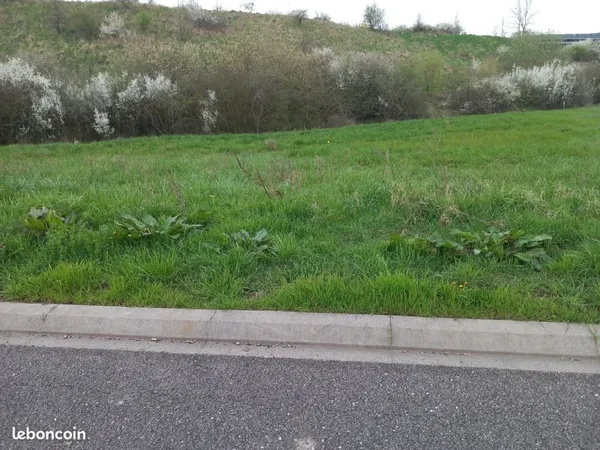 Terrain à Bâtir