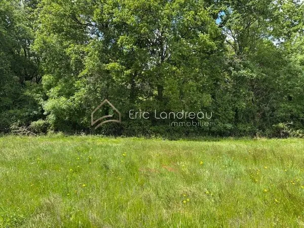 Terrain 497 m²
