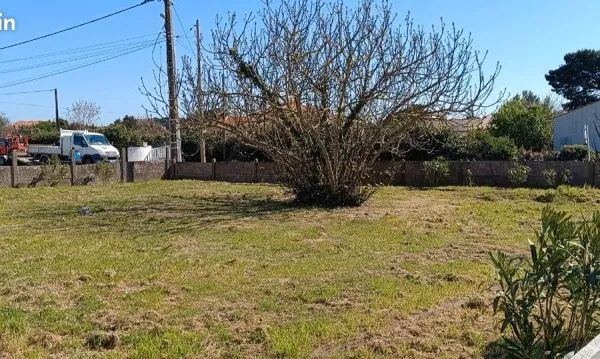 Terrain 299 m2