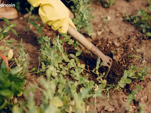 Location jardin potager