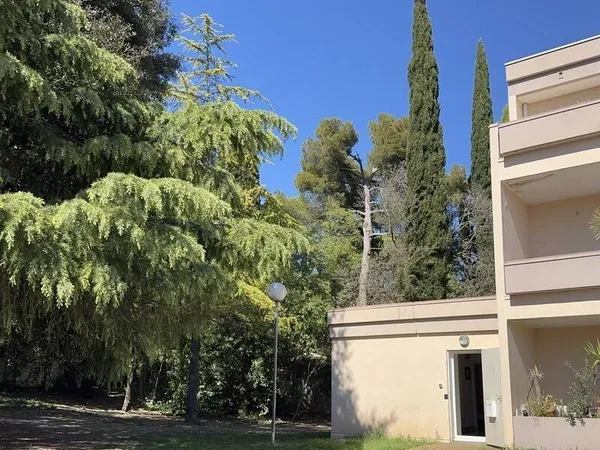 Appartement 3 pièces 41 m²