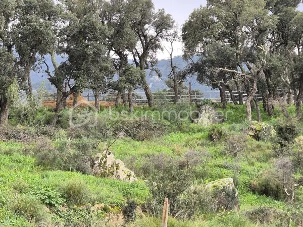 Terrain 56090 m²