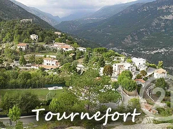 Terrain 10064 m²