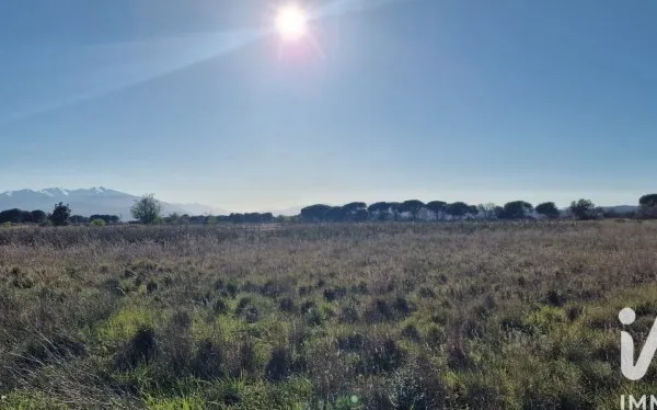 Terrain 6360 m²