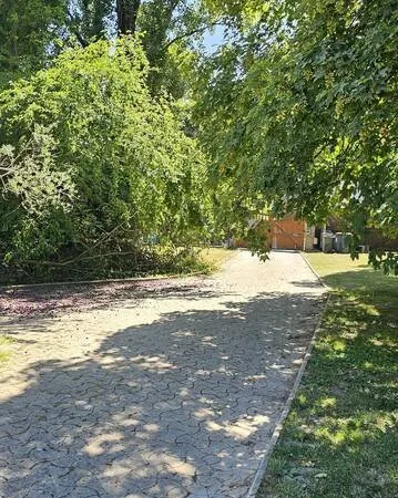 Terrain 2084 m²