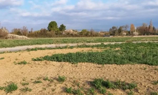 Terrain 571 m²