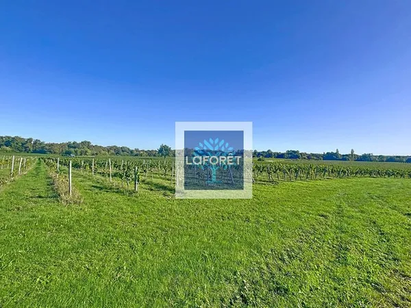À vendre : 18,45 ha de terre