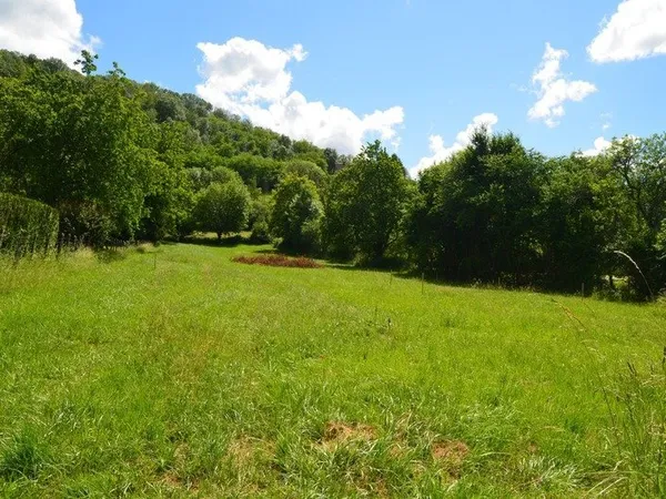 Terrain à vendre DIGNA (39)