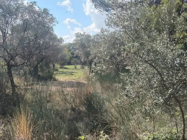 Terrain 1060 m²