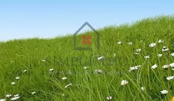 Terrain 300 m²