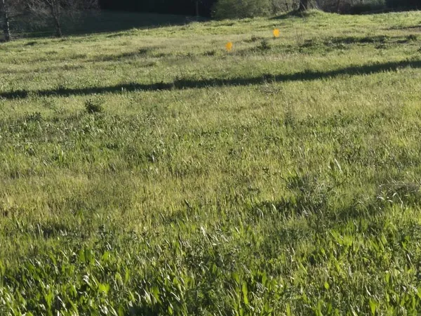 Terrain A Batir Salernes 1067 m²