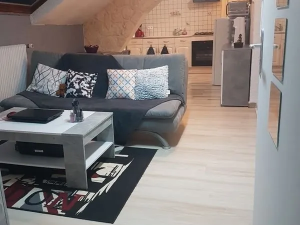 Appartement Location Remiremont 2p 21m² 41000€