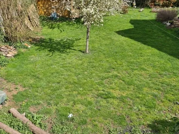 Terrain constructible