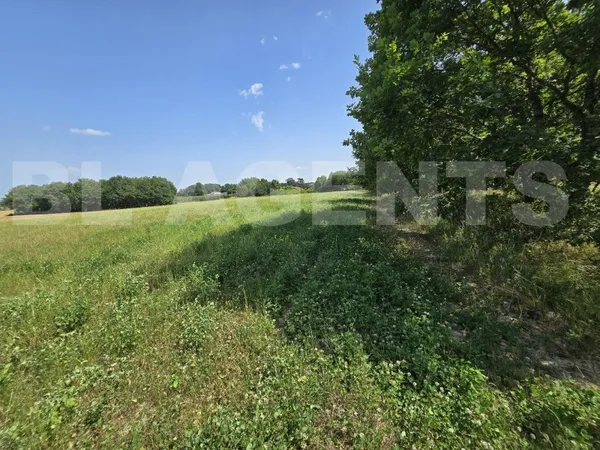 Terrain en individuel 10000 m²