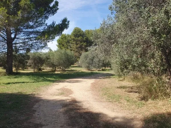 Terrain à bâtir Saint-Chamas