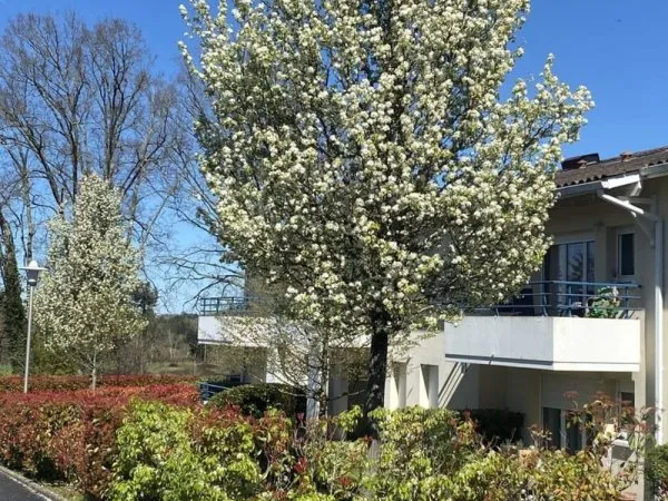 Appartement 2 pièces 40 m²