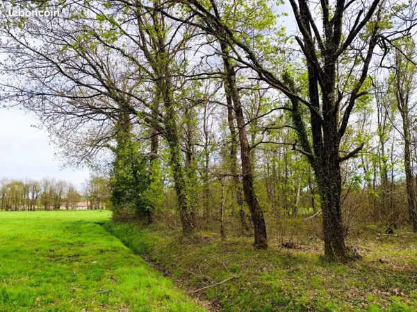Terrain loisir boisé