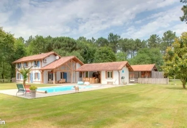 Au coeur de la forêt
