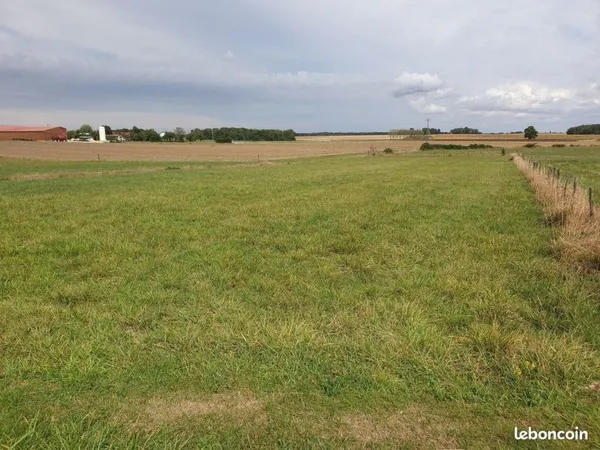 Terrain 3130 m² Joncreuil