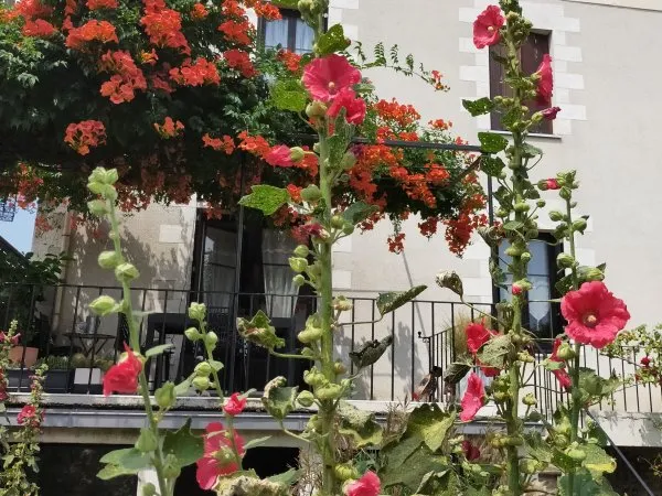 Vends maison 230m² 5 chambres Saint-Julien-de-Concelles