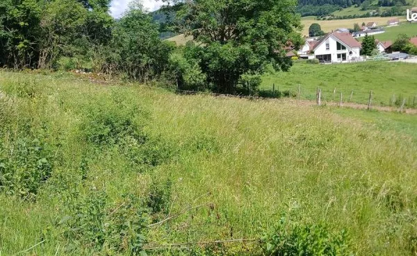 Parcelle de terrain à bâtir