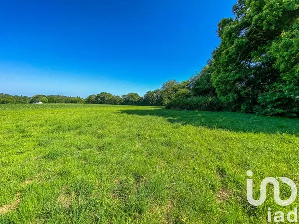 Terrain 650 m²