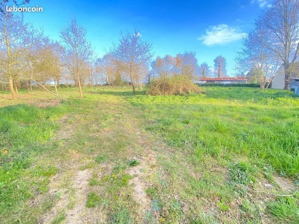Location terrain