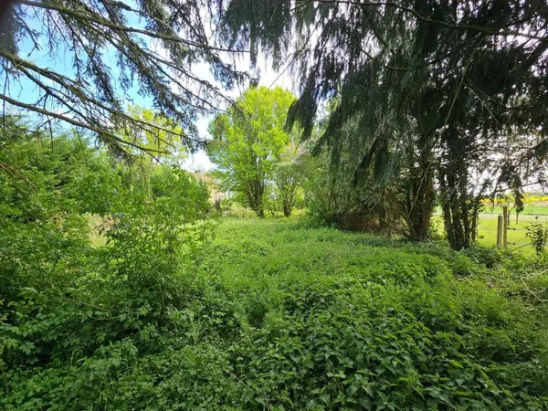 Terrain à bâtir 1168m² Villiers St Georges