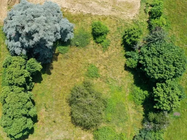 Magnifique terrain à bâtir de 4841m2 sur les hauteur de Pusi