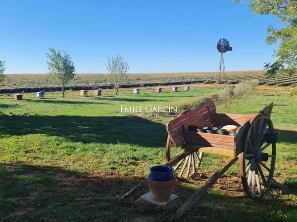 A vendre - Ancienne ferme rénovée au milieu des lavandes - Haute Provence