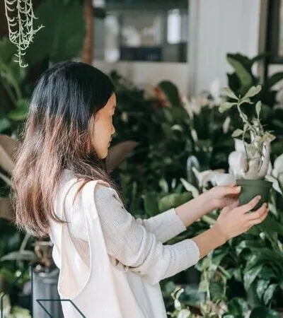 Fonds de commerce Fleuriste