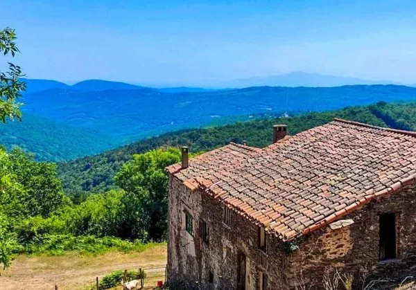 Dans les environs de Céret, propriété de charme avec trois logements sur 3 hestares