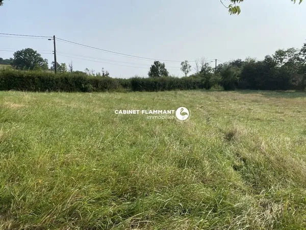 Terrain constructible