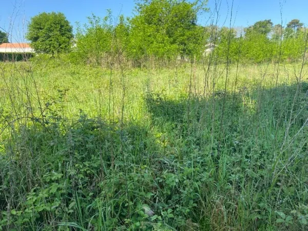 Terrain 615 m²