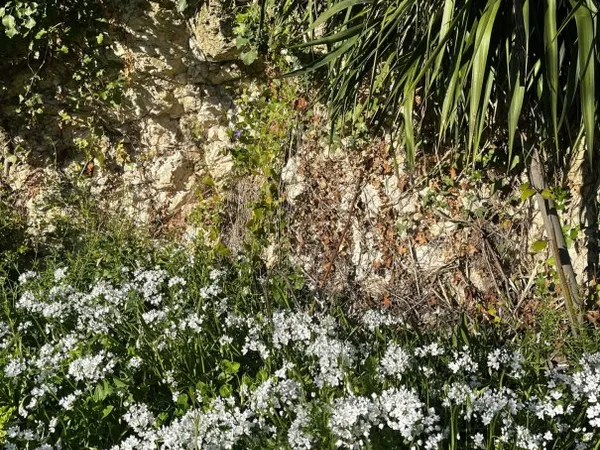 Terrain en individuel 1335 m²