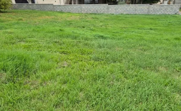 Terrain Saint Prim 740 m2