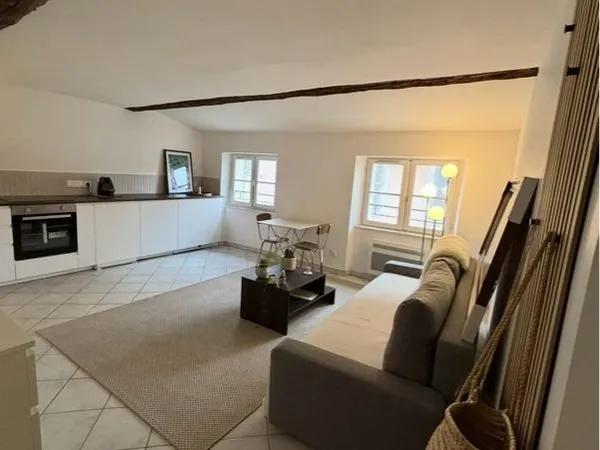 Appartement 2 pièces à louer contrat de 9 mois 15 septembre-15juin - 725 cc