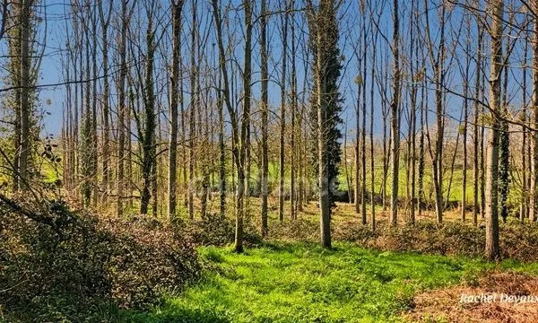 A VENDRE TERRAIN DE LOISIR A PANCE (35)