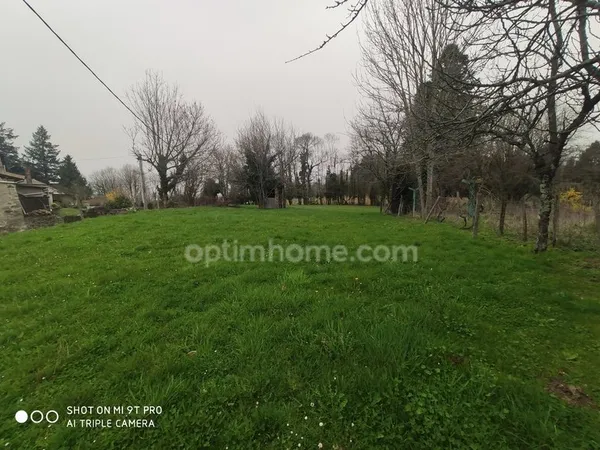 Commune de Mazerolles, L'Arbre. Beau terrain arboré avec CU de 1620 m²